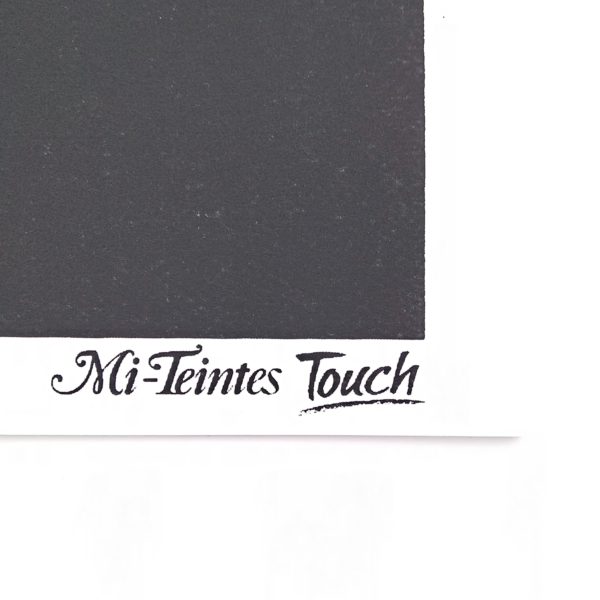 Mi-Teintes Touch album 12ff, 4 tinte, 29,7cm x 42cm, 350gr./mq. - Canson 200461425 - immagine 5