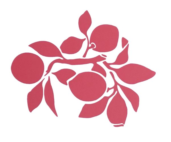 STENCIL A/4 LIMONI 333 - EASY